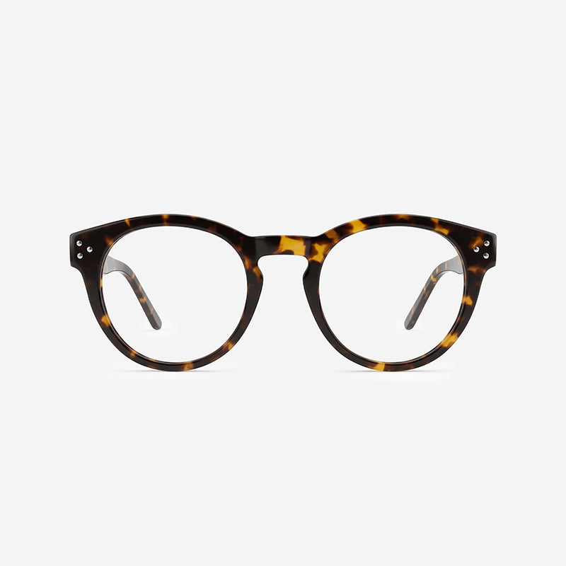 Color_Tortoise