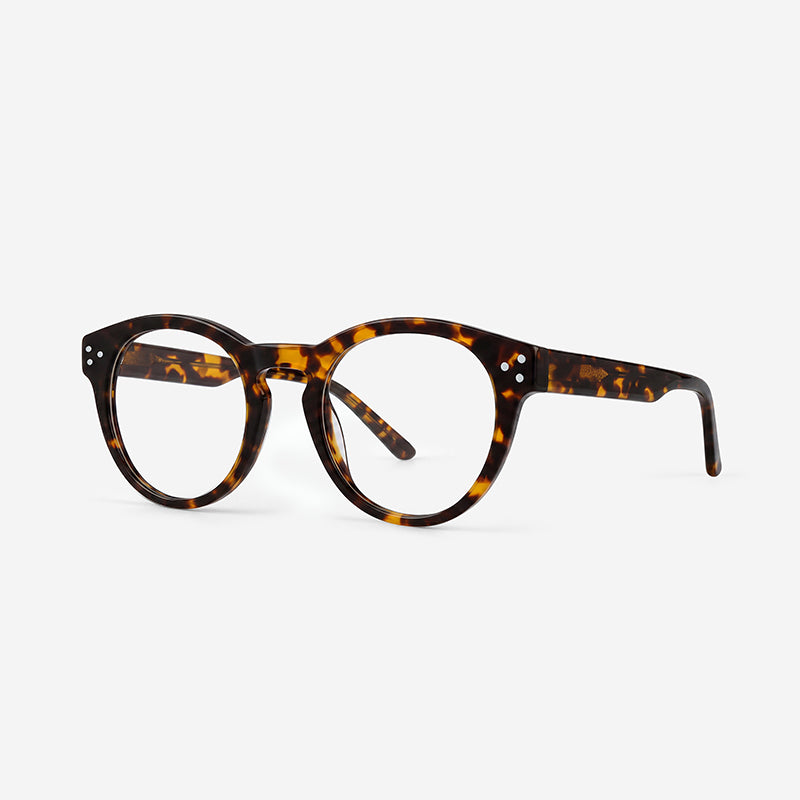Color_Tortoise