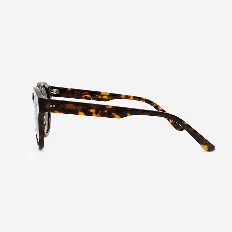 Color_Tortoise