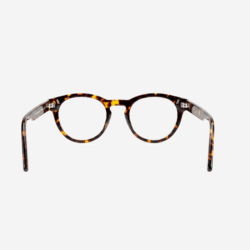 Color_Tortoise