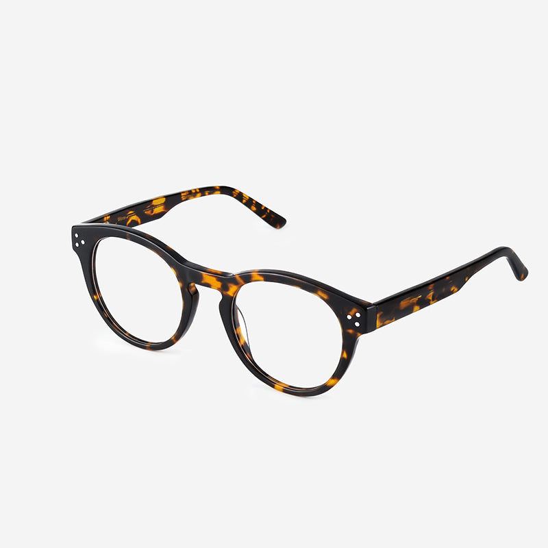 Color_Tortoise