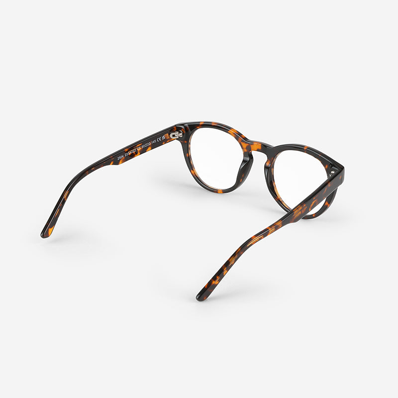 Color_Tortoise