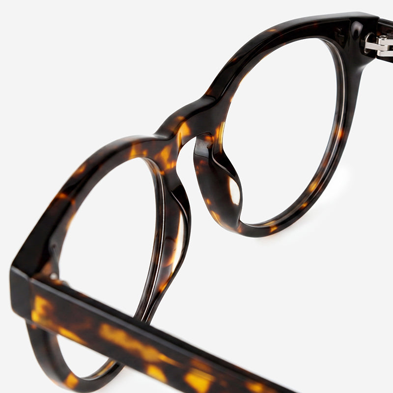 Color_Tortoise